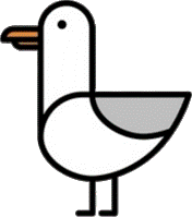 Seagull
