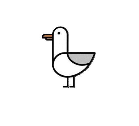 Seagull